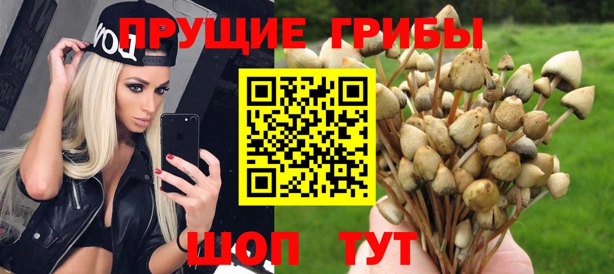 Псилоцибиновые грибы мухоморы  Вход с VPN  Псилоцибиновые грибы Magic Shrooms  Бердск 