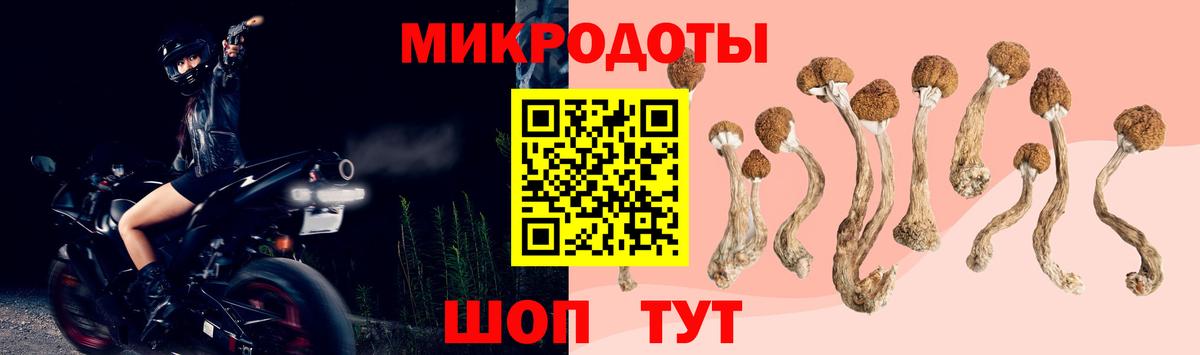 Псилоцибиновые грибы мухоморы Бердск