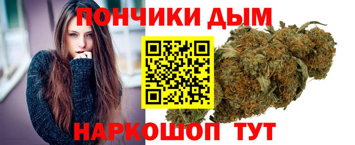 Конопля ГИДРОПОН Бердск